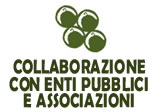 Collaborazione con enti pubblici e associazioni | Associazione Non Solo Ciripà